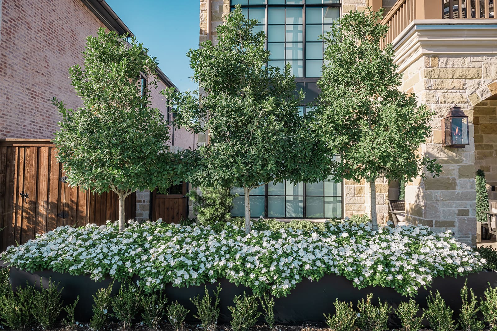 A well-maintained garden in front of a building with three lush green trees and a dense bed of white flowers in a raised planter. The building features brick and stone exteriors with large windows and balconies. A wooden fence is visible on the left.