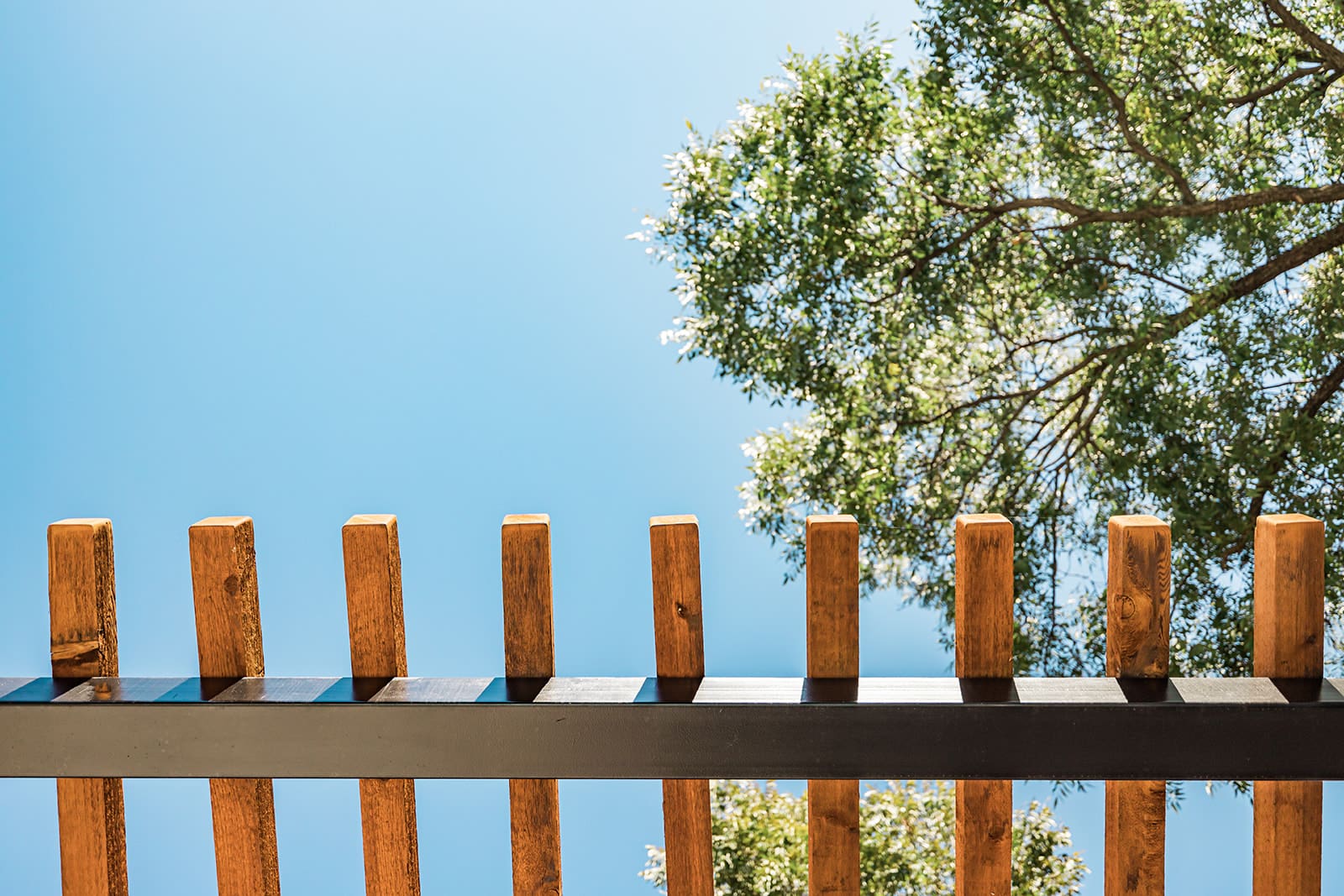A view from below of a wooden pergola with evenly spaced beams against a clear blue sky. The branches of a leafy tree extend into the frame from the right, contrasting with the structure of the pergola.